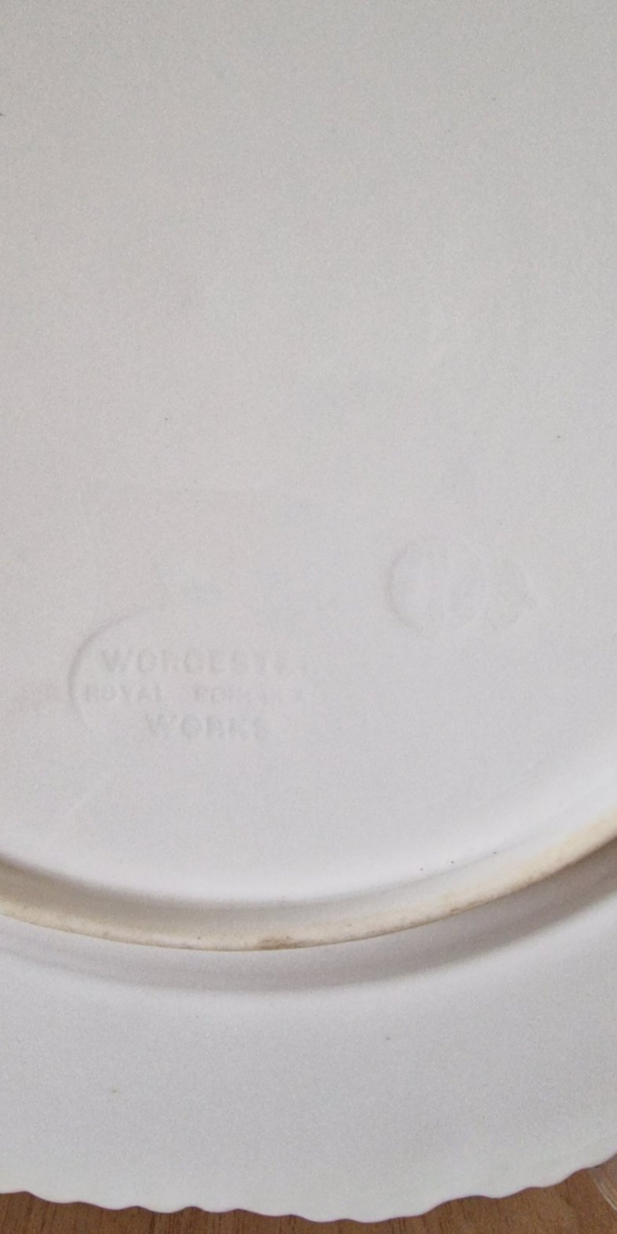 Rare Worcester Cabinet Plate Worcester mark 1862 Impressed by Royal Porcelain Works Handpainted - Image 3